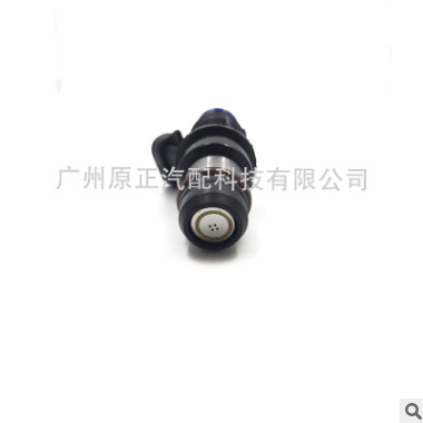 喷油嘴17113553 25317628 25320288 25320287 25323974图3