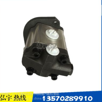 QC25/13-WP工程机械浦沅吊车助力泵50吨以上潍柴WP10 吊车 1032300027 驰田金图3