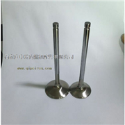 现货供应潍柴WD615欧Ⅱ进排气门 612600050073/61260005007图2