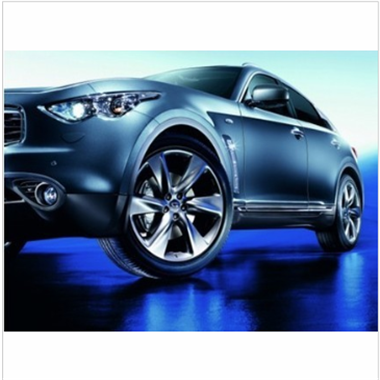 汽车爆胎保险装置（蒂龙）图2