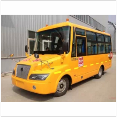 19座幼儿园校车图3