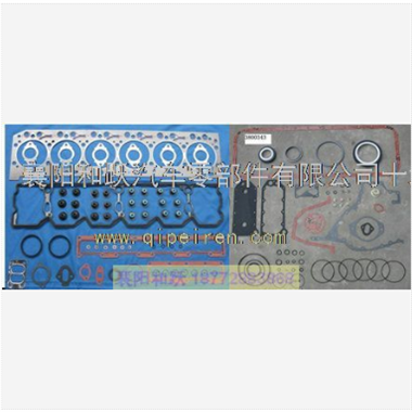 4089889 - SET LOWER ENGINE GASKET QSL 4089889图3