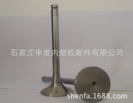 供应山东潍柴6170 发动机进排气门图3