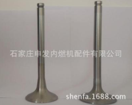 供应山东潍柴6170 发动机进排气门图2