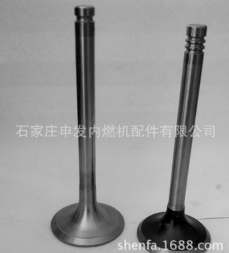 供应N490ZLQ发动机进排气门图3