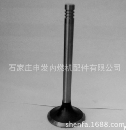 供应N490ZLQ发动机进排气门图2