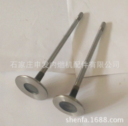 供应摩托车CG125发动机进排气门图2