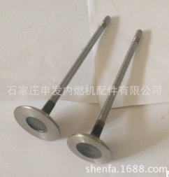 供应摩托车SPE175发动机进排气门图3