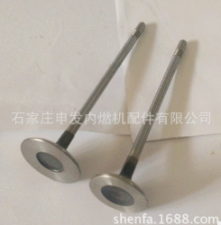 供应摩托车SPE175发动机进排气门图2