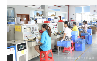 厂家直销欧宝 雅特 威达 干式高压点火线圈 OE:1206307图2