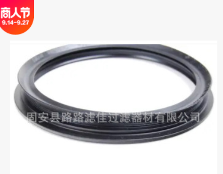 现货供应燃油滤清器滤芯16146757196 V20-0717图3