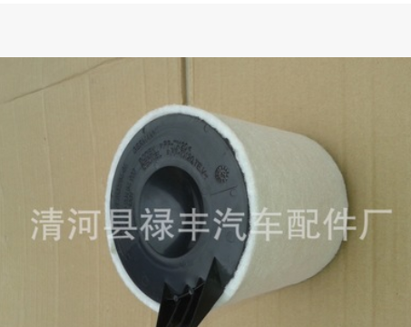 厂家供应 汽车空气滤清器滤芯 13717532754图2