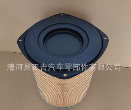 适用于1665898 E316L 空气滤清器C321500 AF25238 FA3137空气滤芯图2