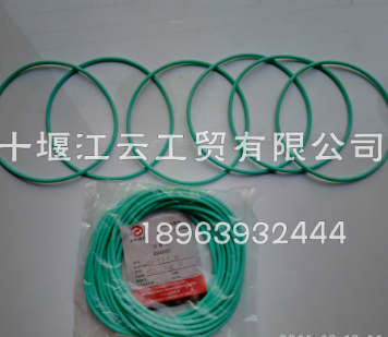 D02A-171-30A-Y上海柴油发动机D6114B缸套阻水圈图1