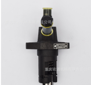 TP168喷油泵-风冷柴油发动机喷油泵总成168F汽改柴动力喷油泵部件图2