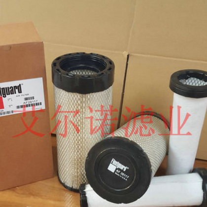 AF26117弗列加空气滤芯A045Z959 871313N图2