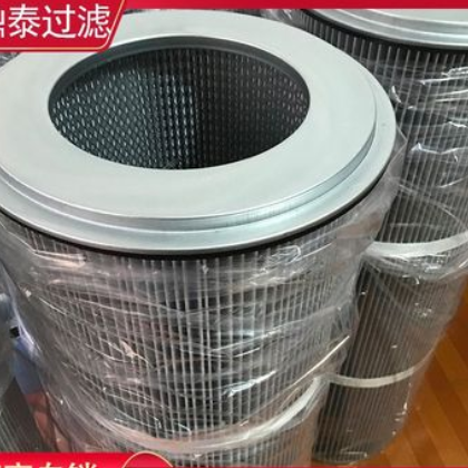 厂家批发 防静电除尘滤筒 抵抗静电粉尘滤芯 防爆除尘滤芯 现货图2