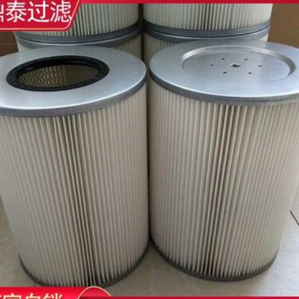 厂家批发 扫地机空气滤筒 大中小扫地机除尘滤筒 环卫车除尘滤芯图2