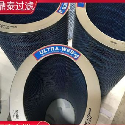 鼎泰批发自销椭圆式除尘滤筒P191920进口防阻燃滤材除尘滤芯图2