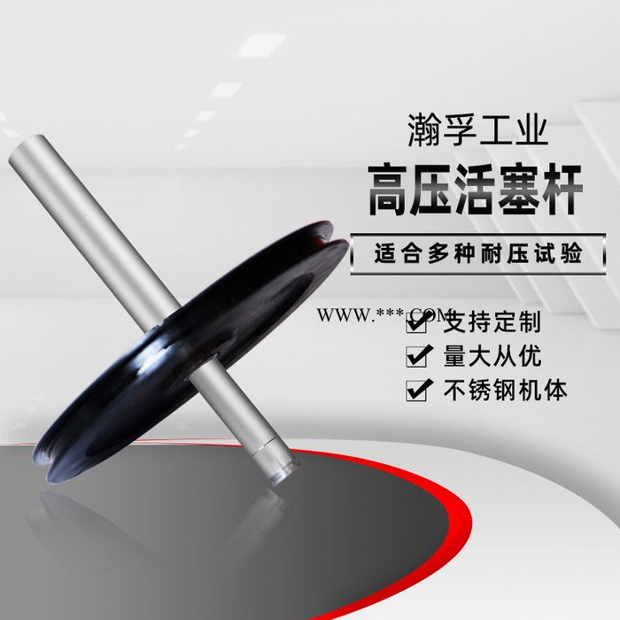 瀚孚HFCV 高压活塞  防腐蚀材质活塞 增压泵活塞 柱塞泵活塞 高压泵活塞图2