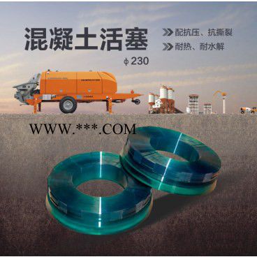 ZOOMLION 中联重科Ф230/个活塞 官方图3