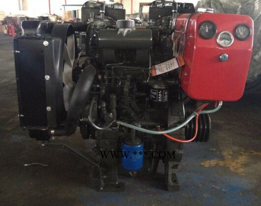 华旭ZH2110P，双缸柴油机，农机车用柴油发动机，35马力 不带离合器 皮带轮卡飞轮 潍坊双缸机厂家图2