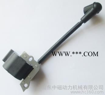 供应飞轮和点火模块图1