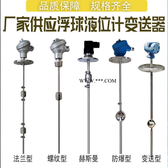 **连杆式 浮球液位变送器不锈钢4-20ma插深浮球液位计图2