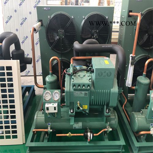 比泽尔活塞压缩机 低温活塞制冷压缩机 低温冷冻制冷机 风冷式工业冷水机图2