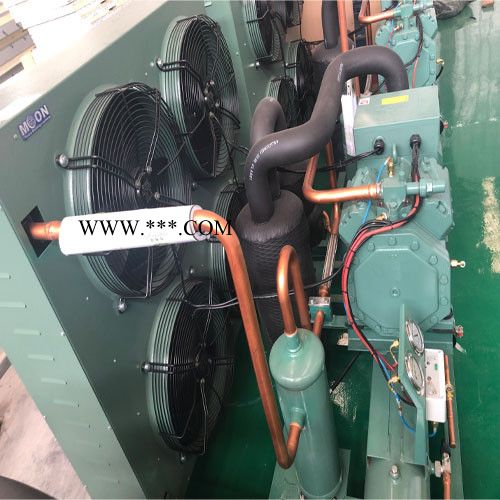 比泽尔活塞压缩机 低温活塞制冷压缩机 低温冷冻制冷机 风冷式工业冷水机图6