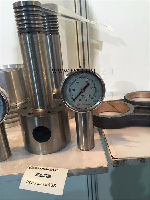 rand/英格索兰32287146 32287146英格索兰活塞图2