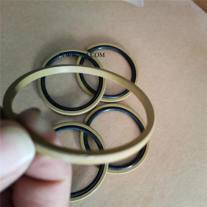 BRS格莱圈 活塞孔用格莱圈 泽诺 厂家供应图2