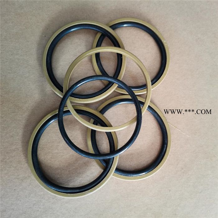 BRS格莱圈 活塞孔用格莱圈 泽诺 厂家供应图3