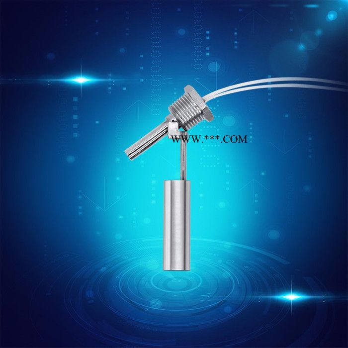 SEN/赛盛尔SEN—SSY85 多点不锈钢连杆浮球液位开关 干簧管浮球液位计图3