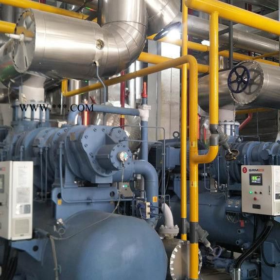 冰山螺杆式 活塞式机组  冰山机组 制冷配件 货物齐全 量大从优图2