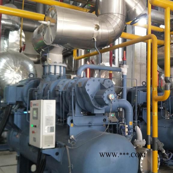 冰山螺杆式 活塞式机组  冰山机组 制冷配件 货物齐全 量大从优图4