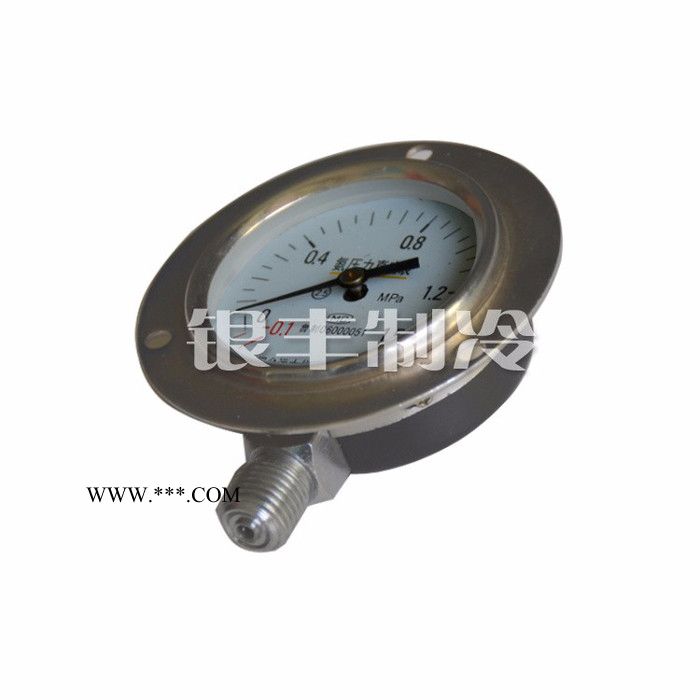 烟台远大Y60 氨用压力真空表压力表螺杆机活塞机抗震图4