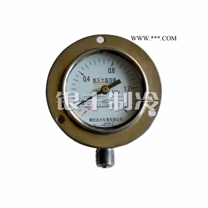 烟台远大Y60 氨用压力真空表压力表螺杆机活塞机抗震图6