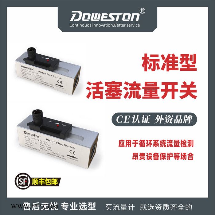 道威斯顿FSP 流量开关 活塞流量开关 欢迎来购图2