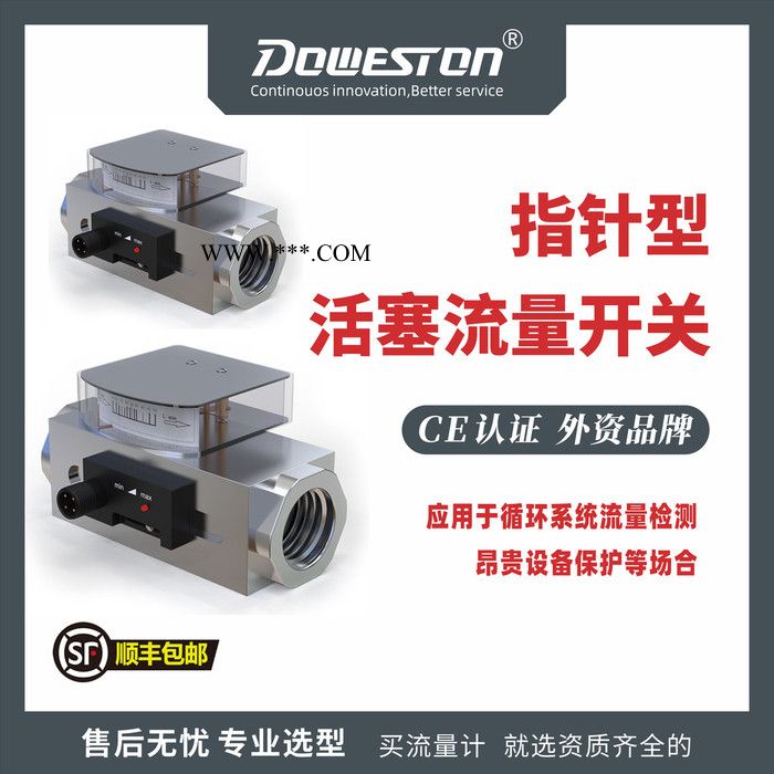 道威斯顿FSP 流量开关 活塞流量开关 欢迎来购图4