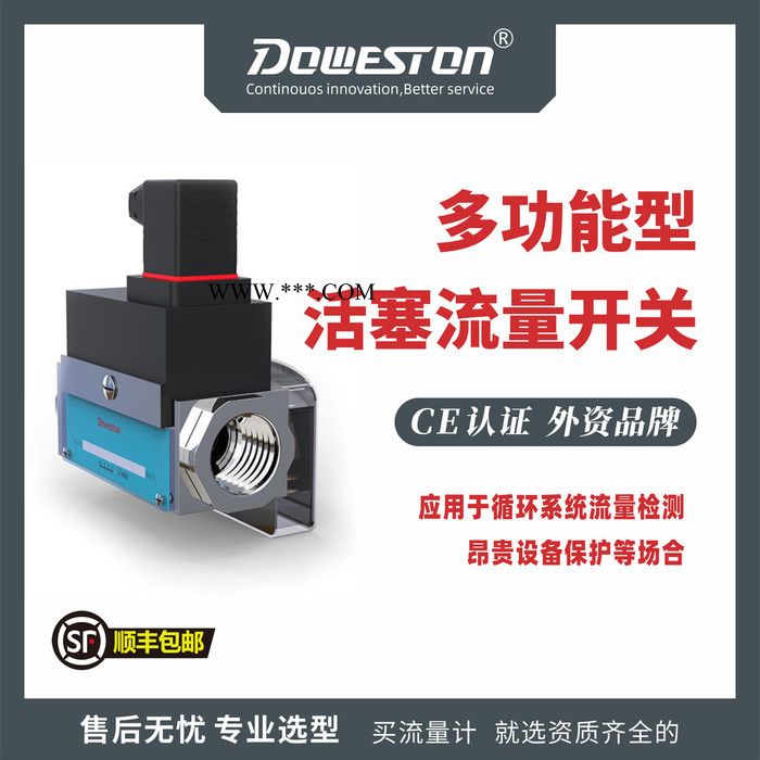 道威斯顿FSP 流量开关 活塞流量开关 欢迎来购图5