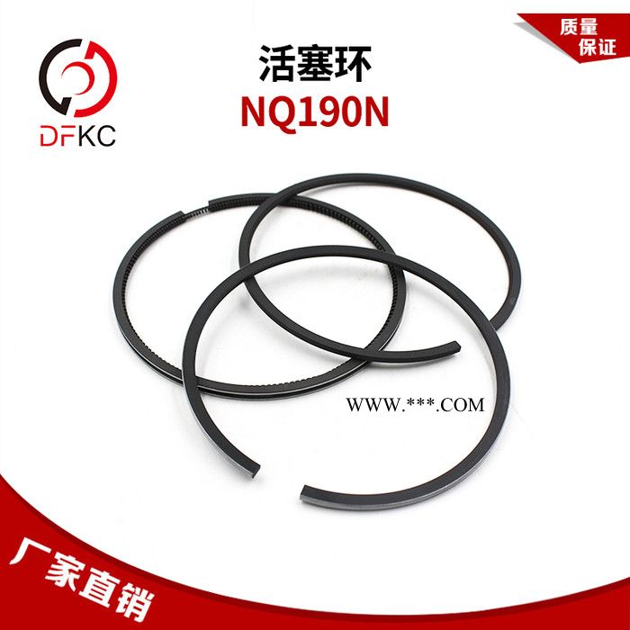 活塞环适配南充NQ系列天然气发动机NQ190N原厂配件图4