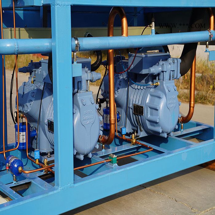 莱富康活塞并联压缩机组 风冷式制冷机组  冷库制冷设备图3