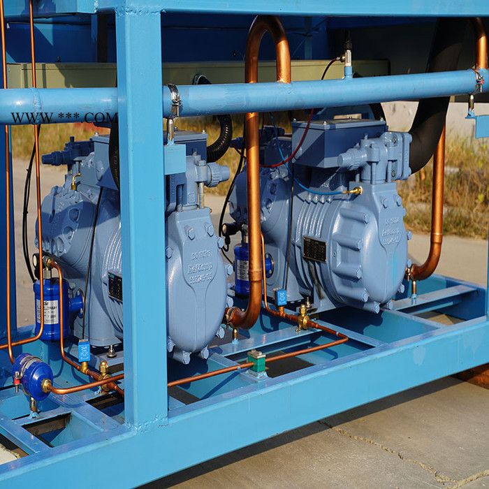 莱富康活塞并联压缩机组 水果蔬菜冷藏保温制冷机组生产厂家图2