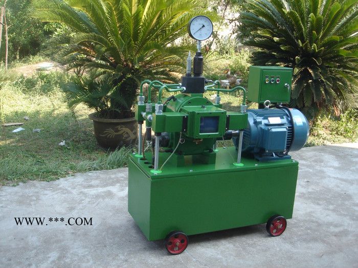 [海创]**甲板冲洗泵 发动机冷却 海水泵 铜头叶轮泵 高压泵SF3212图6