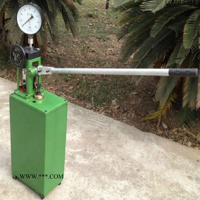 [海创]**甲板冲洗泵 发动机冷却 海水泵 铜头叶轮泵 高压泵SF3212图2