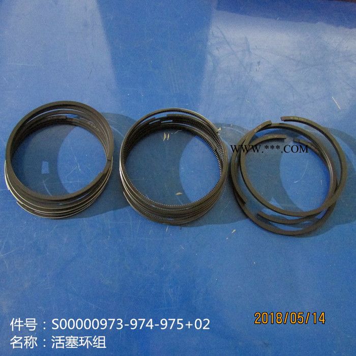 供应徐工机械上柴发动机配件S00000973/974/975+02活塞环组图3