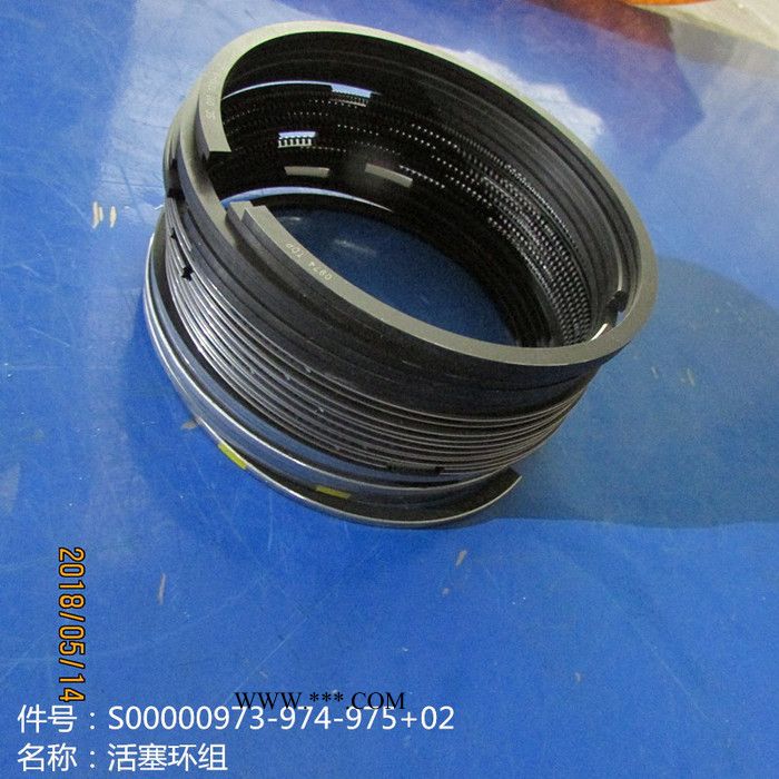 供应徐工机械上柴发动机配件S00000973/974/975+02活塞环组图2