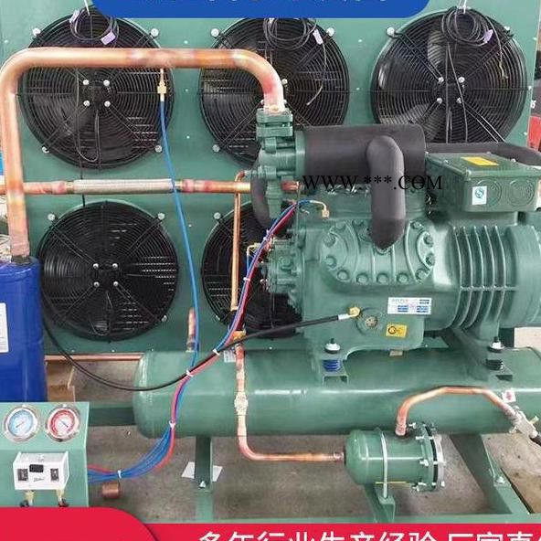 宏昌厂家 制冷机组 冰爽制冷 活塞压缩机冷库机组 制冷压缩机组图3
