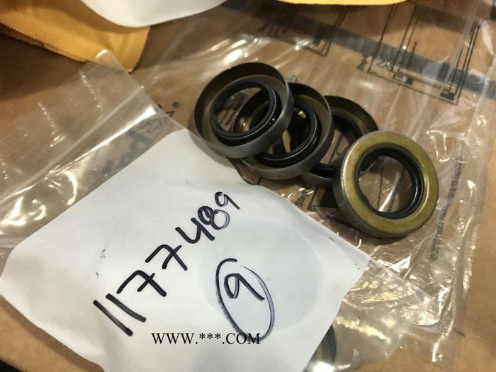 美国FMC  M1422HD 水泵 泥浆泵 油封 P509731 460水泵曲轴油封 煤矿定向钻机配件图1